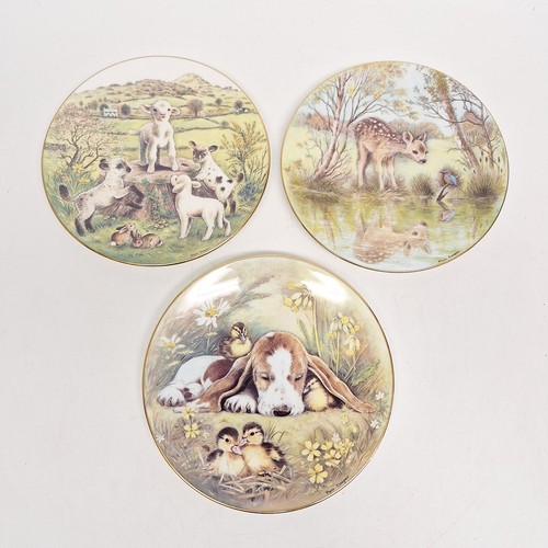 Rspca plate collection from - x3,