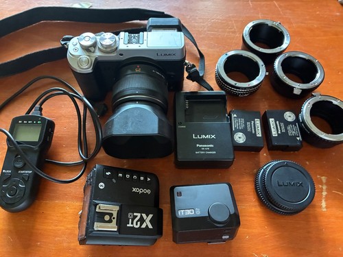 Panasonic gx8 with - pana, leica