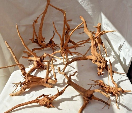 Aquarium wood redmoor root - wood,