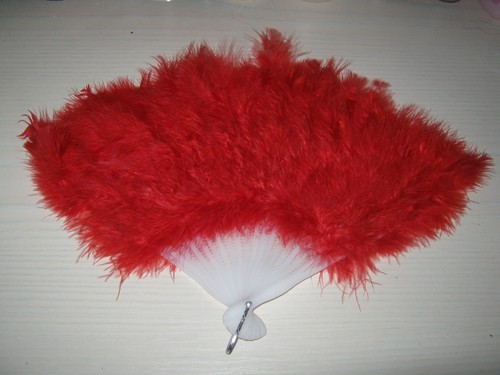 Luxury feather fan for fancy - luxury,