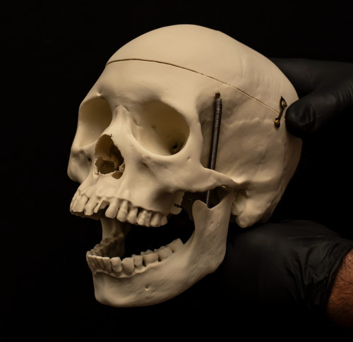 Life size human - life,