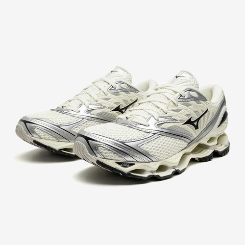 Mizuno wave prophecy - wave,