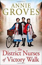 The District Nurses of Victory Walk (The District Nurse, Book 1),Annie Groves