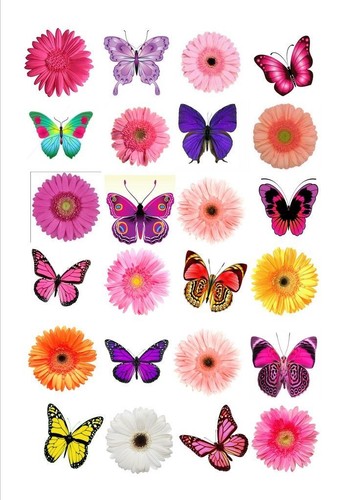 Mixed flower butterfly edible - butterfly,