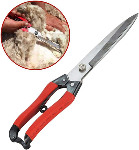 Sheep clippers wool - clippers, cutter