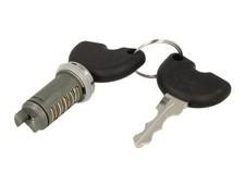 The ignition key (insert) fits