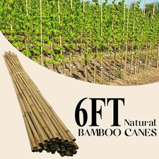6FT LARGE BAMBOO CANES HEAVY