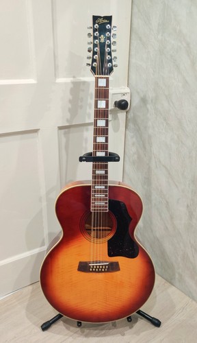 Aria 30t twelve string - tb,
