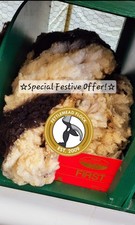 Jacob Sheep Full Fleece Raw Wool 2nd Shear SEE Details FREE DELIVERY To 15th DEC