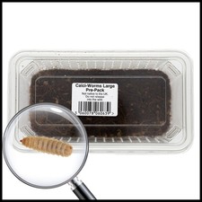 Livefoods4u Calci Worms Live