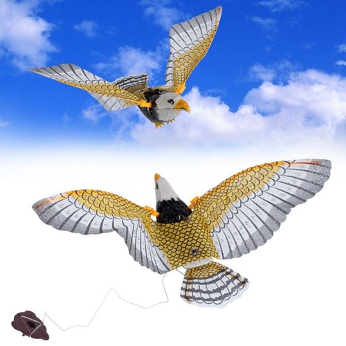 Flying bird hawk scarer - bird,