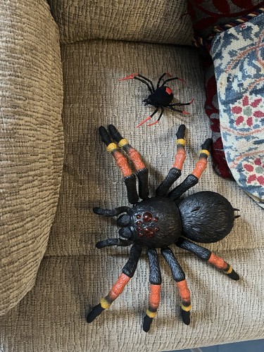 Robot spiders controlled - robot,