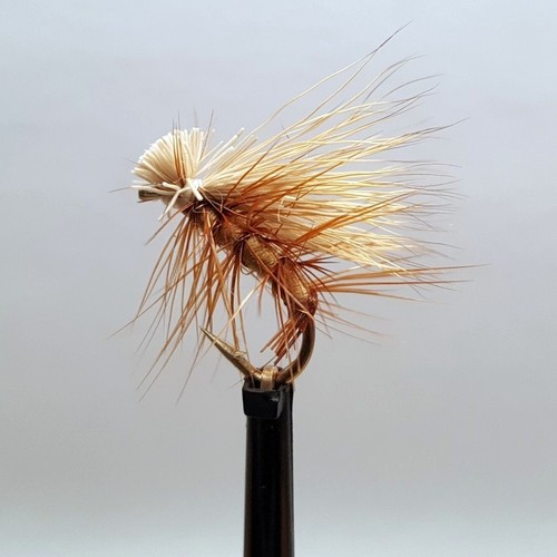Elk hair caddis fly - caddis,