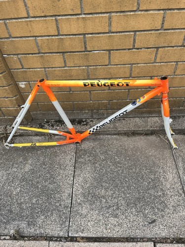 Rare ritchey p22 team - rare,