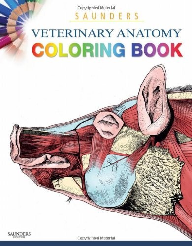 Saunders veterinary anatomy - saunders,