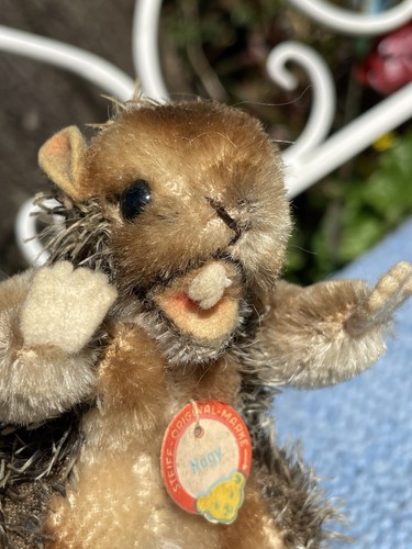 Teddy bear old - bear,