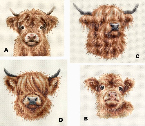 Highland cows calf - calf, full