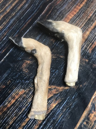 Bent deer feet - cured, knife