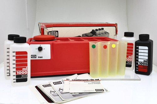 Jobo tbe film - jobo,