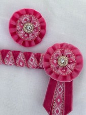 PINK VELVET - ELITE SHOWING