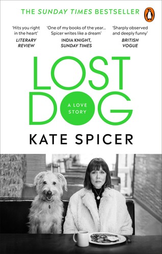 Lost dog love - love, story-kate
