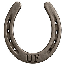 HORSE RACING SYSTEM - UNCLE