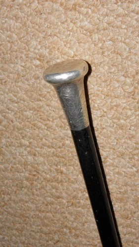 Edwardian show cane - show,