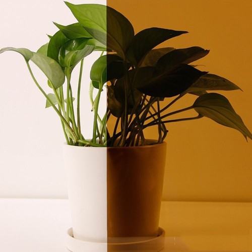 Prevention solar tint stain - solar,