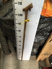 1.1M Blackthorn Shank Walking