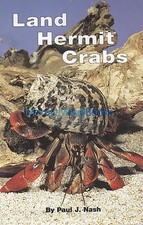 Land Hermit Crabs by Paul J