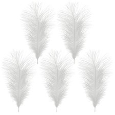 Large Ostrich Feathers