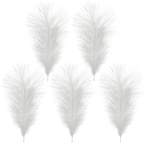Large ostrich feathers - large,