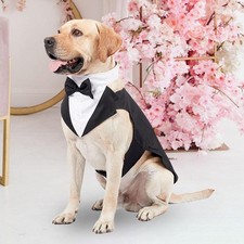 Dog Tuxedo Dog Suit and