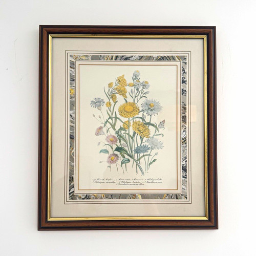 Vintage jane loudon botanical - jane,