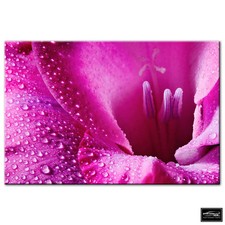 Floral Flowers BOTANICAL   BOX