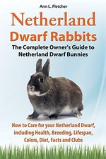 Netherland Dwarf Rabbits, The