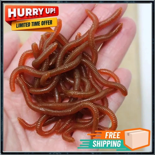 Red bait worms plastic fishing - red,