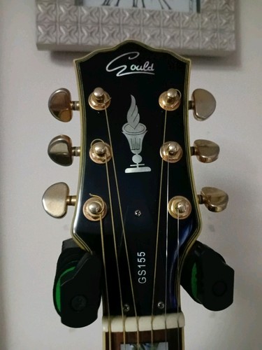 Gould gs155 - gould,