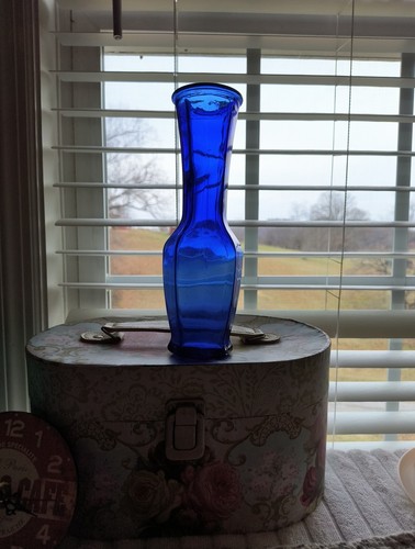 Cobalt blue glass vase - cobalt,