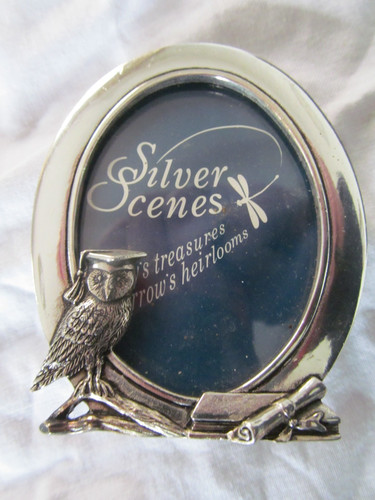 Silver scenes wise - silver, owl