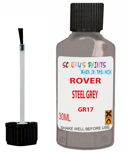 Paint for rover vitesse - paint,
