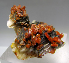Vanadinite xx on Barite xx Level Mibladen / Midelt / Middle Atlas / Morocco