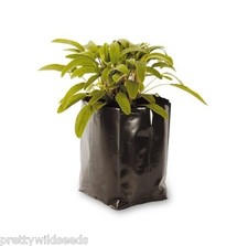 Poly Pots Professional Plastic Plant Pots Grow Bag Reusable 5  litre x 100