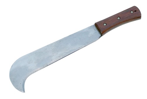 Bill hook shrub - shrub, &