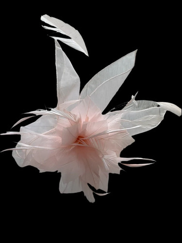 Ladies small looped fascinator - ladies,