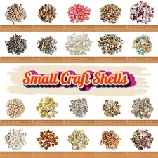 30 x TINY MICRO SEASHELLS Sea