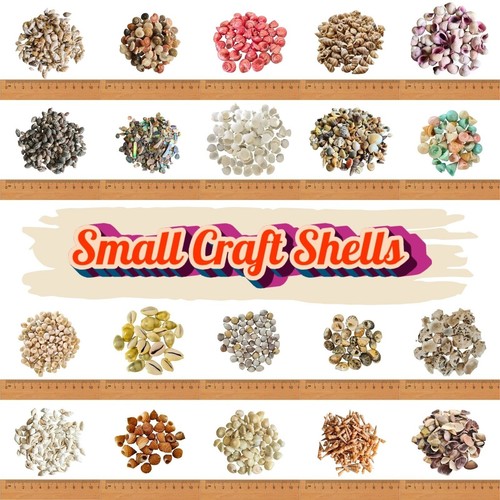 Tiny micro seashells sea - 30,