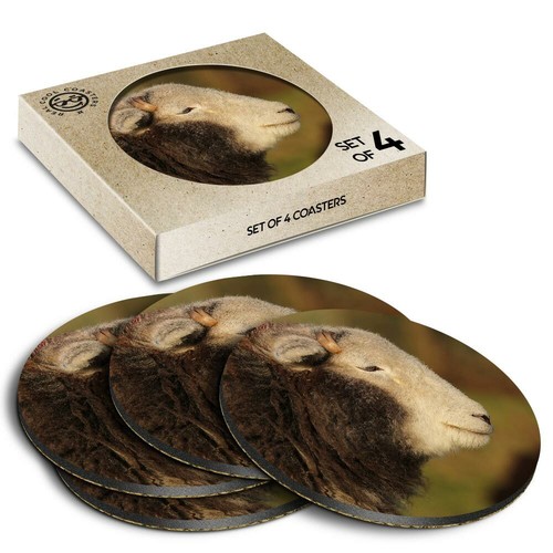 Boxed round coasters - round,