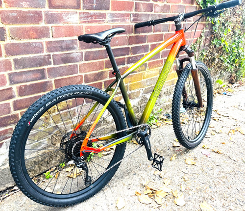 Specialized elite custom - specialized, mtb