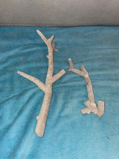 RB1 2x Dead Coral Reef Bone